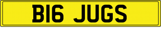 B16 JUGS
