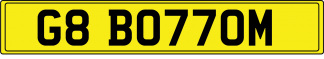 G8 BO77OM