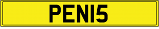 PEN15
